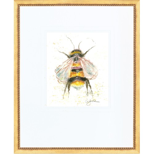 CD- BEE 2